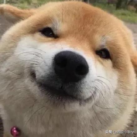 那些令人爆笑的小故事(让你开心一乐)