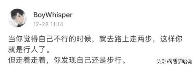 小母狗是什么意思（小狗狗是什么生肖）