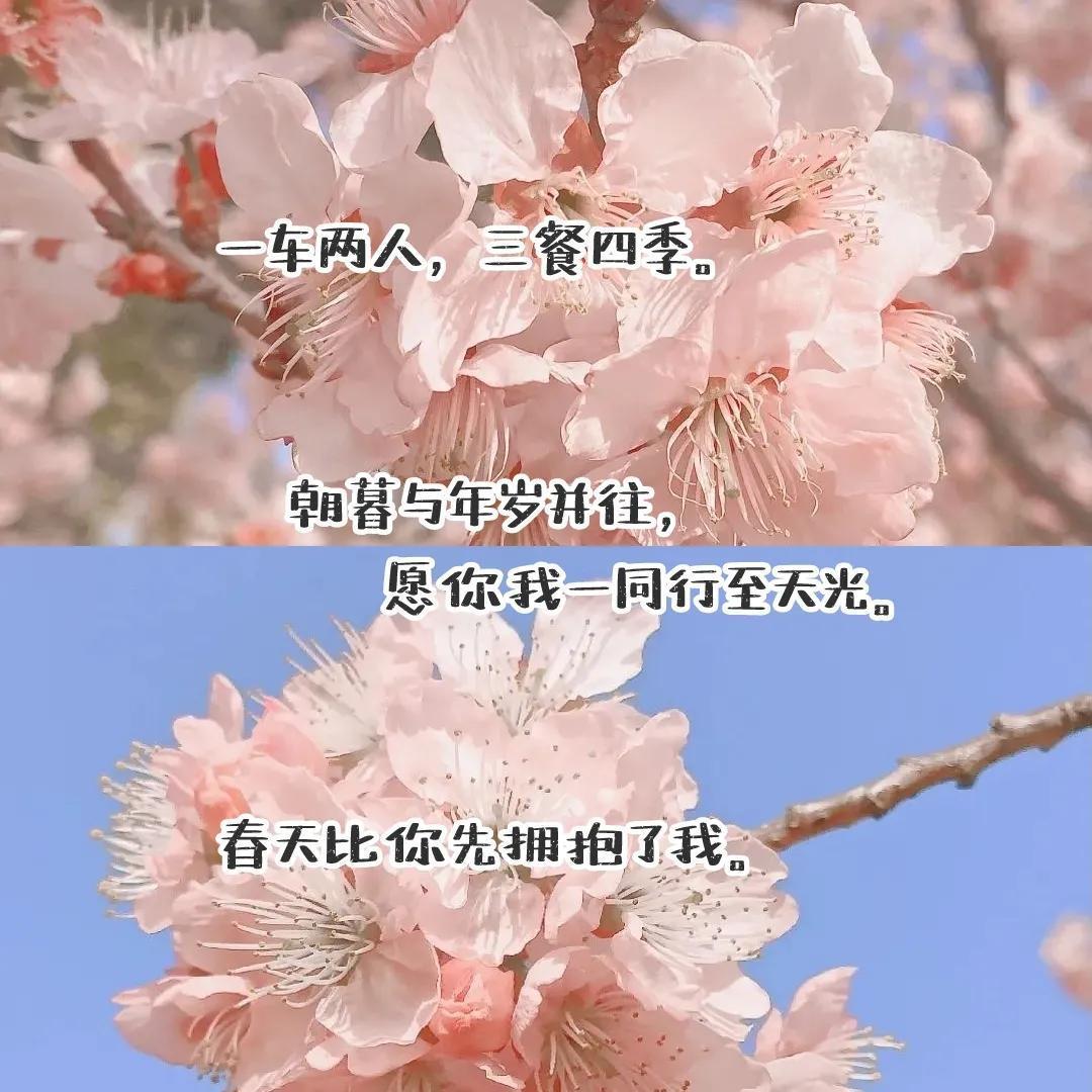 陪爸妈旅游幸福的句子(带爸妈旅行的唯美朋友圈)