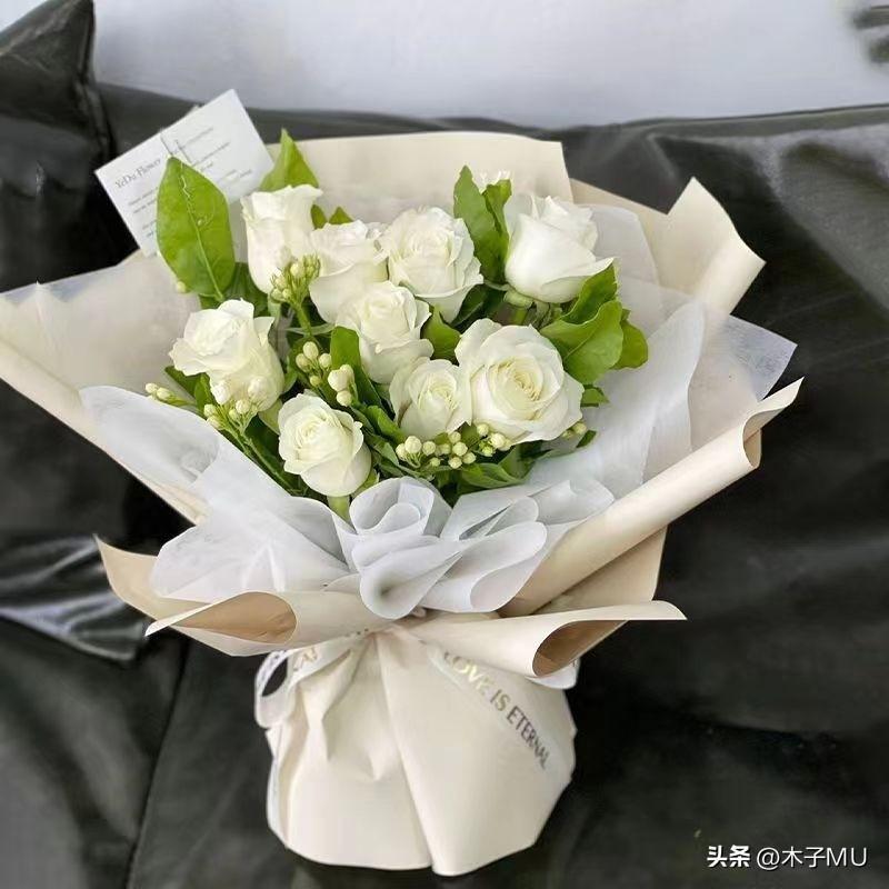 白玫瑰的花语以及适合送什么人(纯洁浪漫的白玫瑰是求爱之花)