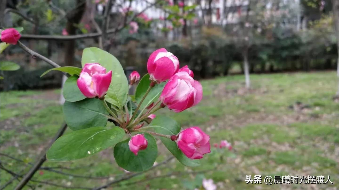 灵魂有趣的女人句子（灵魂有趣的女人句子图片）