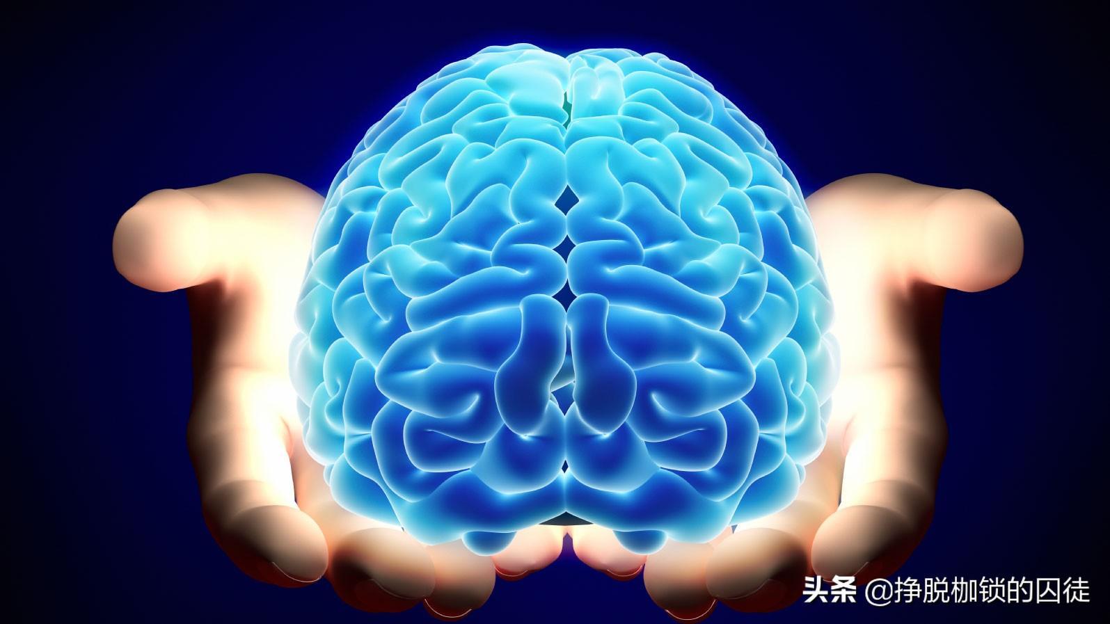 灵魂的含义是什么意思（灵魂是什么意思呢）