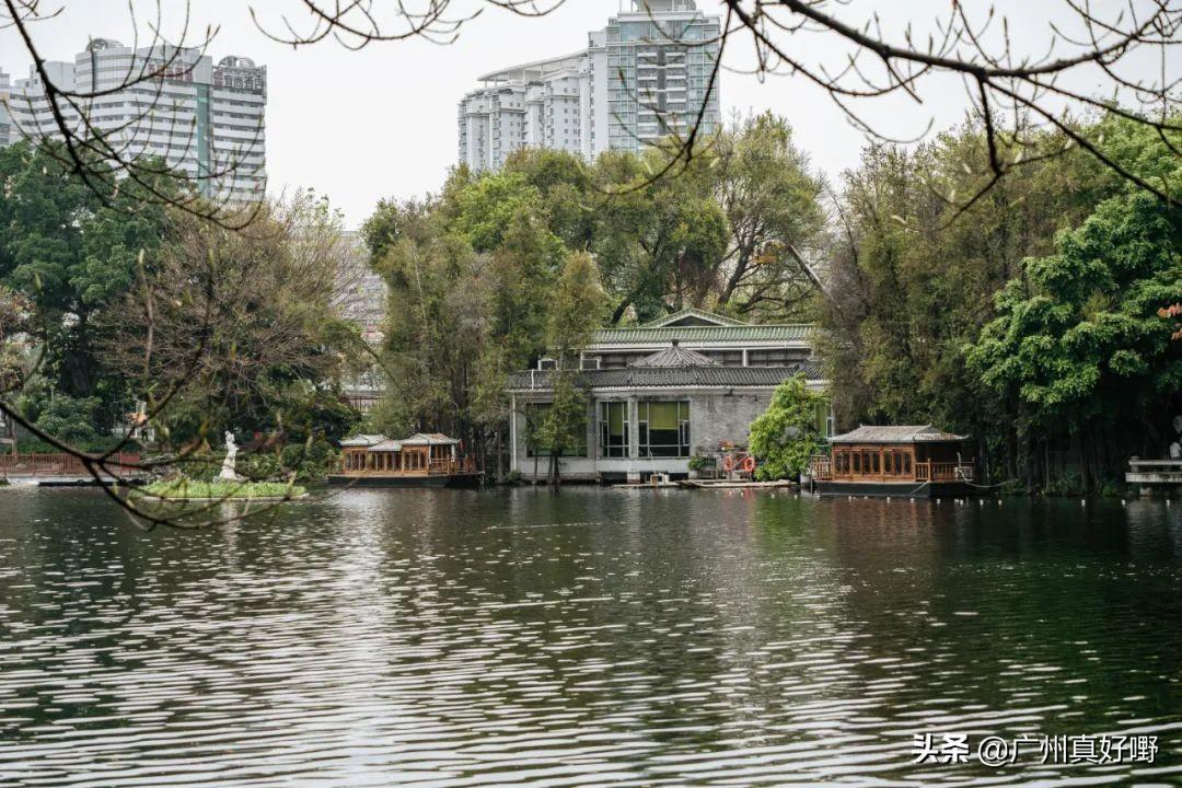 广州上世纪这8个威水的地点(超适合情侣来次复古约会)
