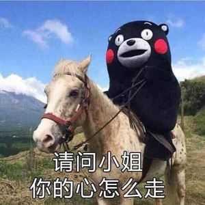 个性签名女生专属(让你的个性脱颖而出)