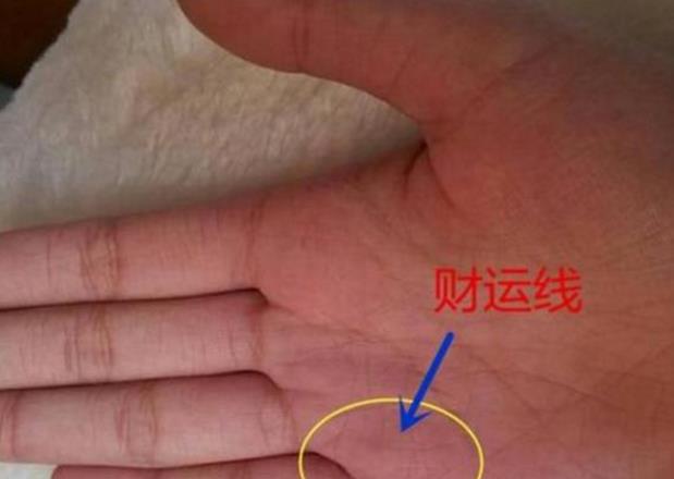 食指长于无名指表示什么意思（君臣相佐 事业有成 一生不愁钱财）