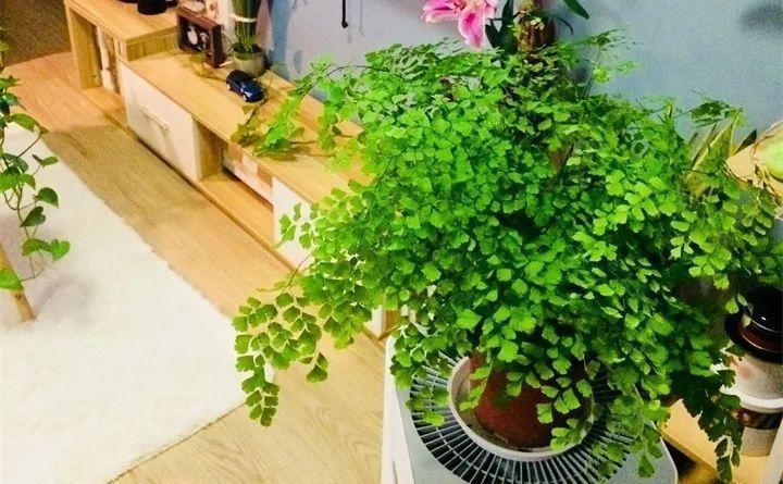 快看自己的生日 你属于哪种生日花语(365天对应365种花)