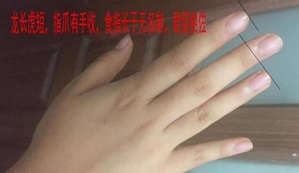 食指长于无名指表示什么意思（君臣相佐 事业有成 一生不愁钱财）