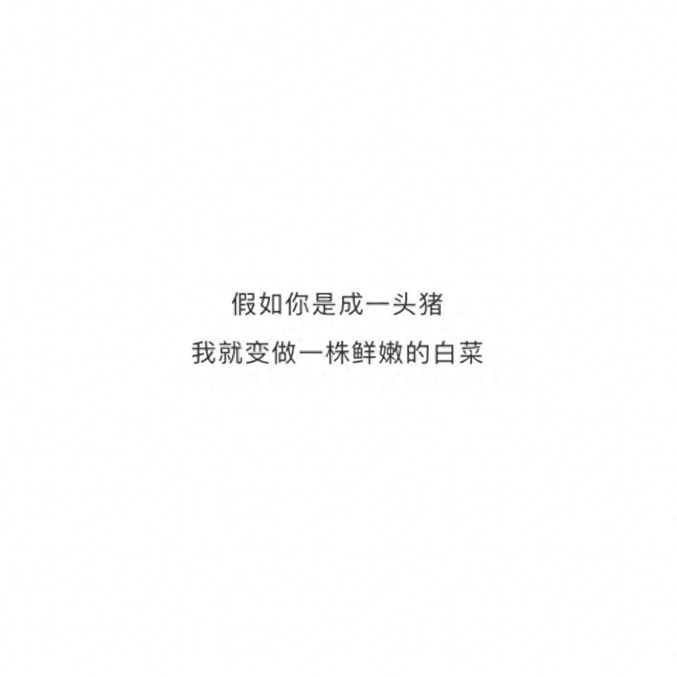 哄对象开心的情话（说给对象听的温柔小情话）