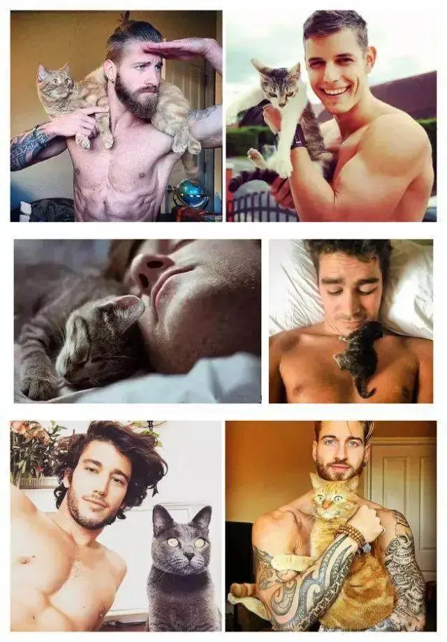 养猫的男生会很娘吗(真男人的表现 值得你托付终生)