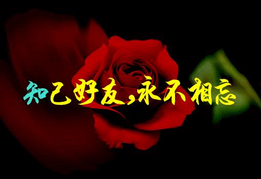 人生至到最后一刻才明白（经历岁月沧桑才明白人生的真谛）
