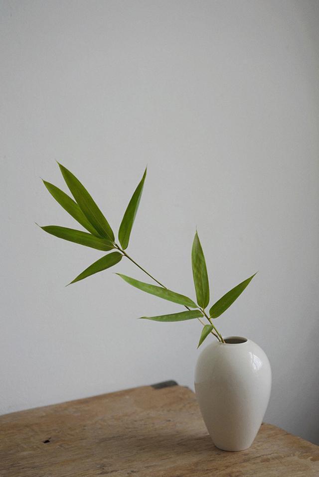 佛语禅心净化心灵感悟人生句子(精选20条让人平心静气的佛系禅语)