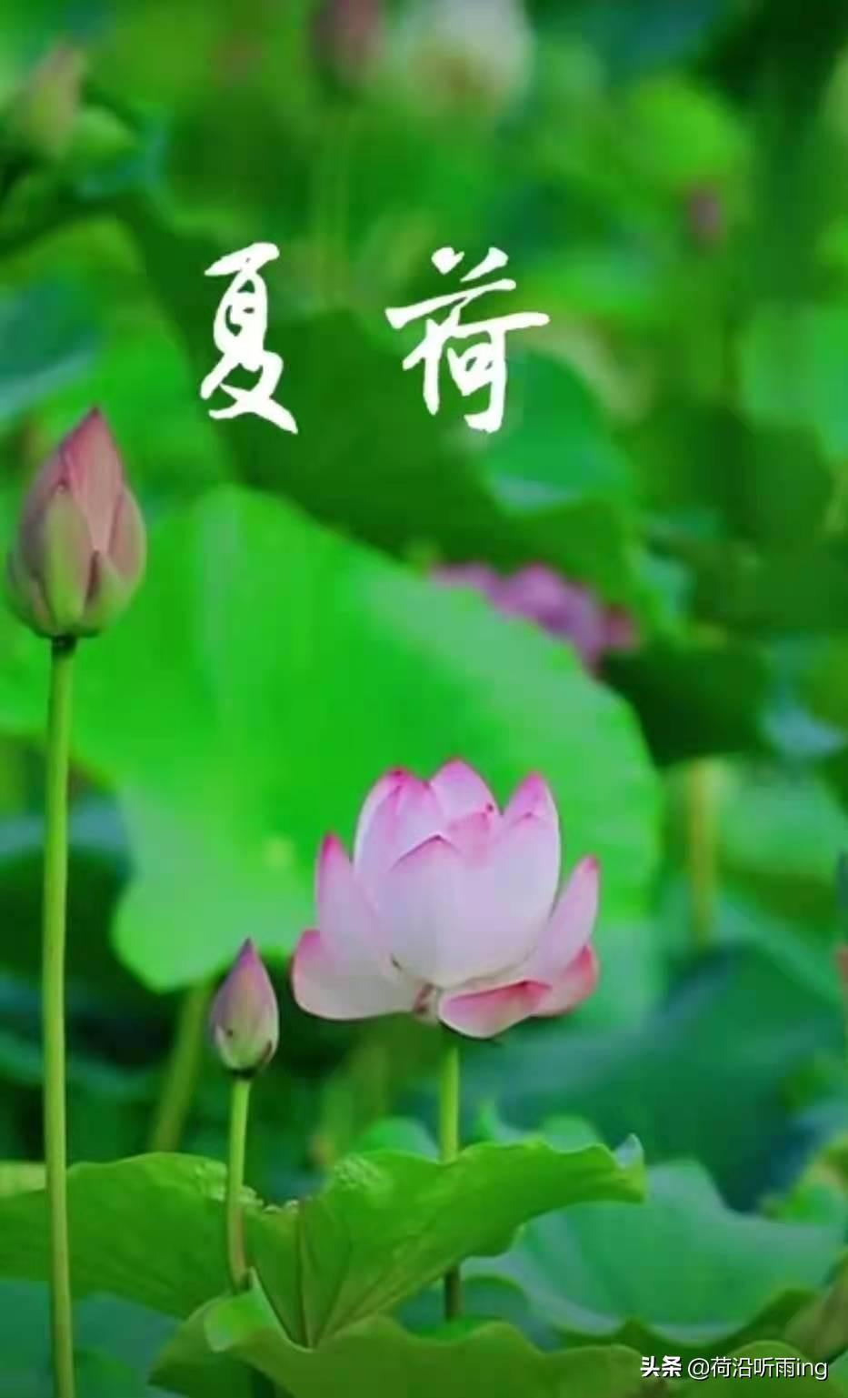 常说的责任感是什么(浅谈做人做事负责任的态度)