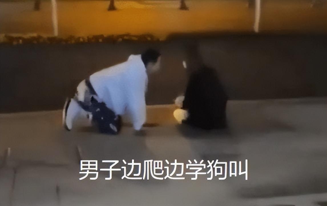 男生给女生下跪当狗（男生给女生当舔狗图片）