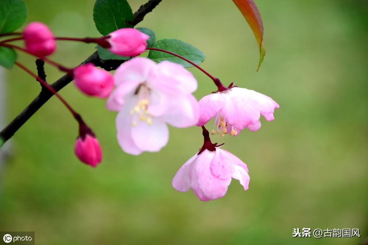 最伤感的情诗有哪些(盘点史上最悲伤的10首诗词)