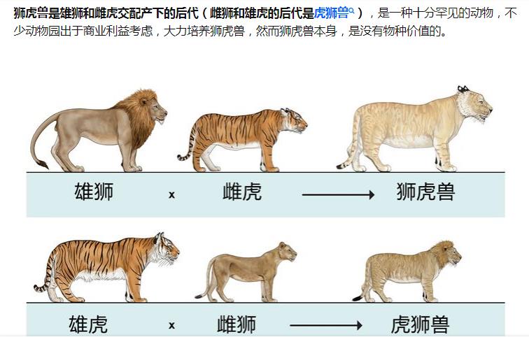 跨越种族的恋爱（动物中跨越种族的恋爱）