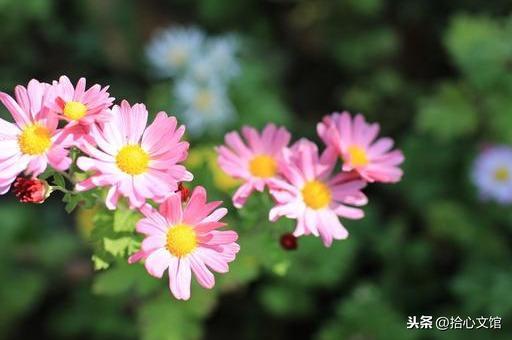 滴水之恩 当涌泉相报(受人恩惠 应没齿难忘)