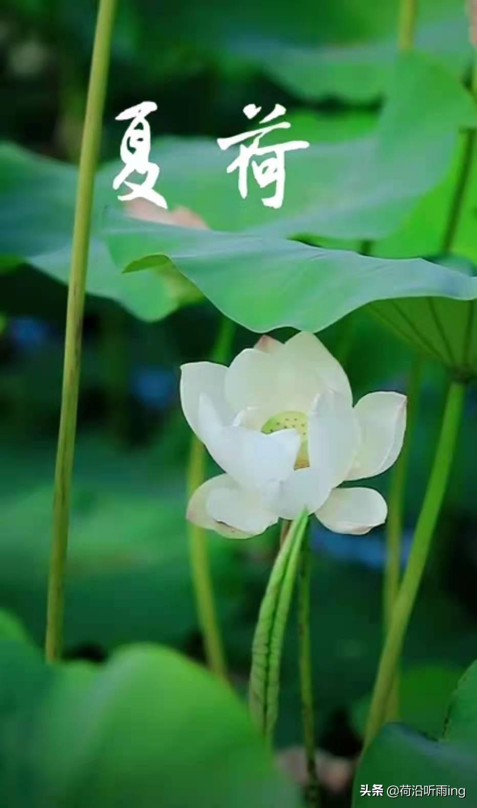 常说的责任感是什么(浅谈做人做事负责任的态度)