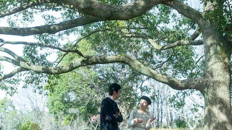 帮助妻子谈恋爱（电视剧他和她的恋爱）
