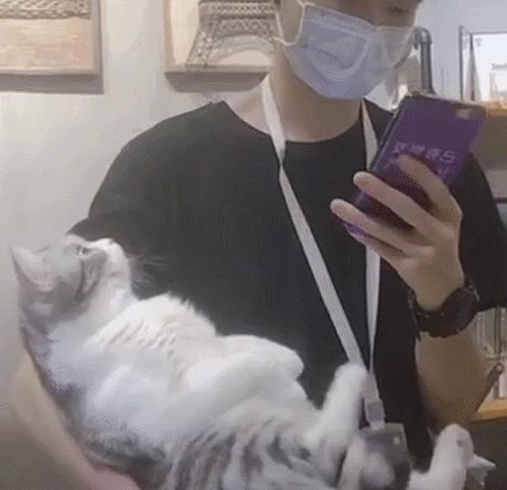 养猫的男生会很娘吗(真男人的表现 值得你托付终生)