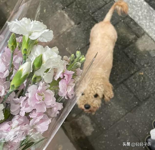 一个男人不爱你了会有哪些表现(有这5种表现需要提高警惕)