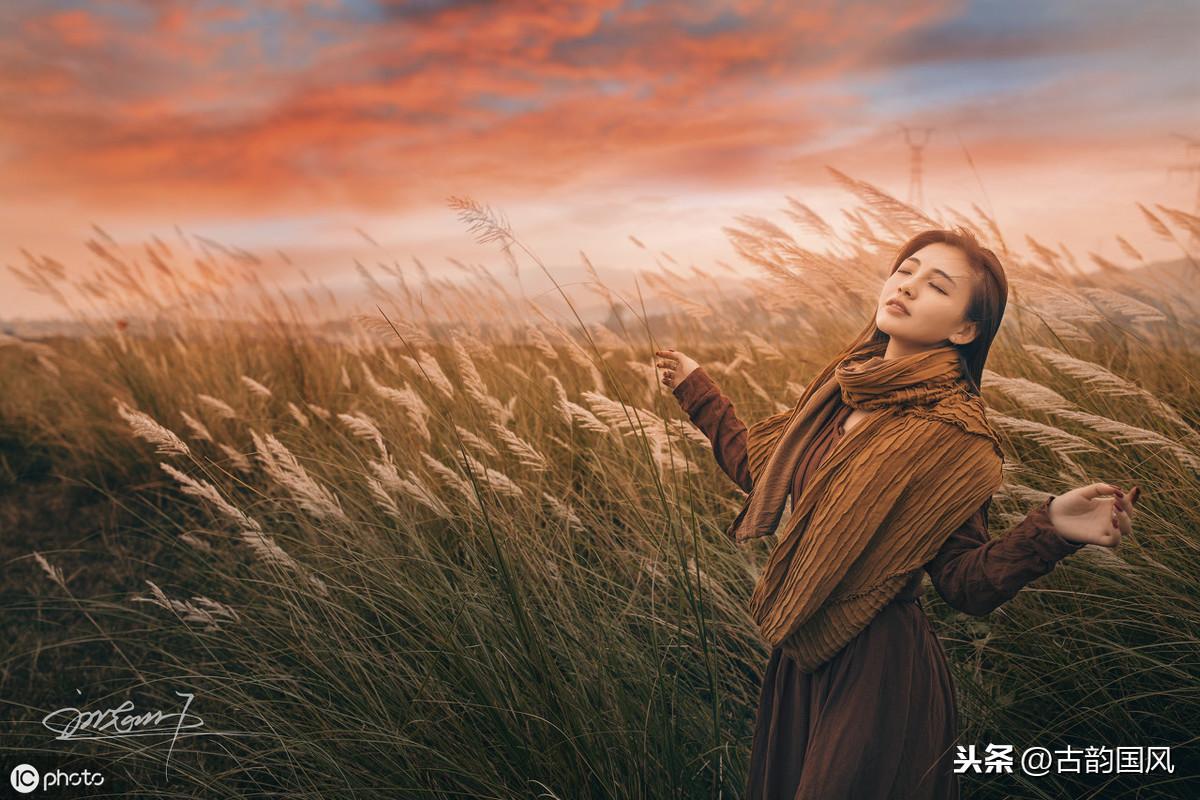 最伤感的情诗有哪些(盘点史上最悲伤的10首诗词)