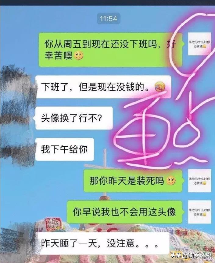 小母狗是什么意思（小狗狗是什么生肖）