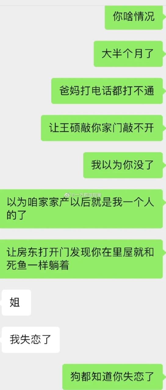 弟弟分手后姐姐有多欢乐,结局笑死我了!