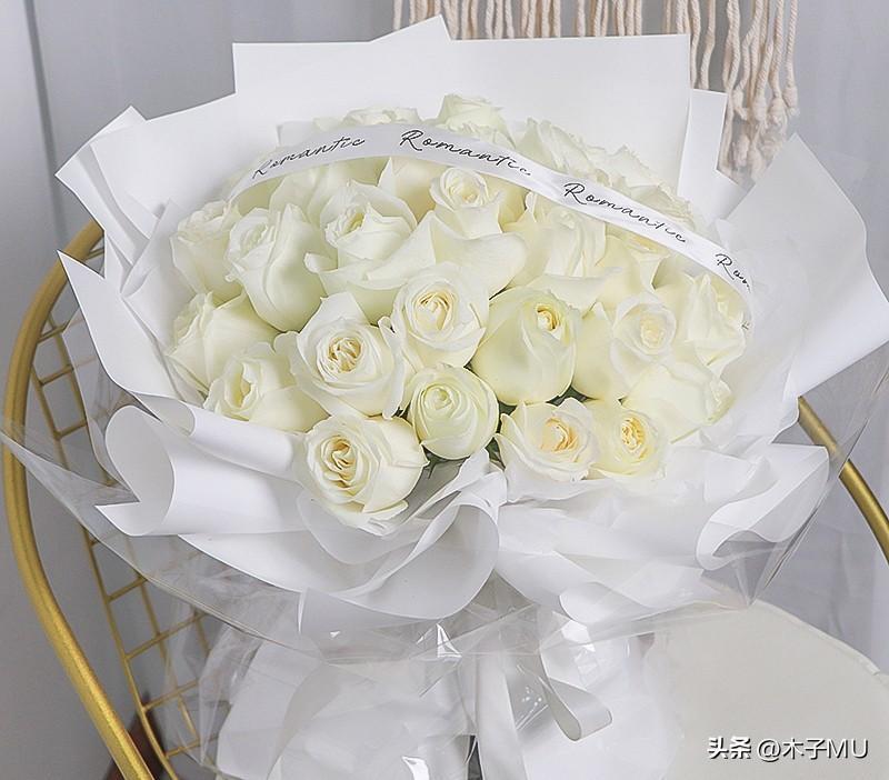 白玫瑰的花语以及适合送什么人(纯洁浪漫的白玫瑰是求爱之花)