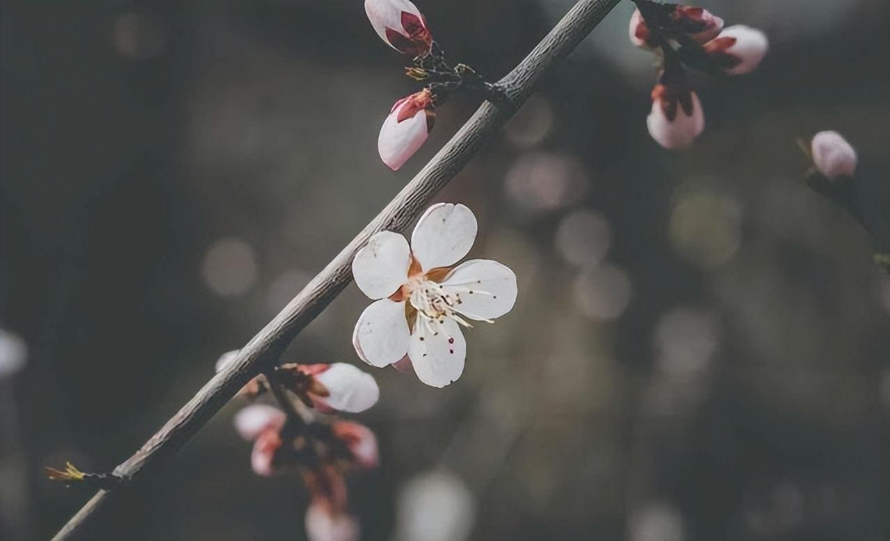 男人说想你了怎么回答(这样说会让他荷尔蒙飙升)