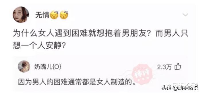 小母狗是什么意思（小狗狗是什么生肖）