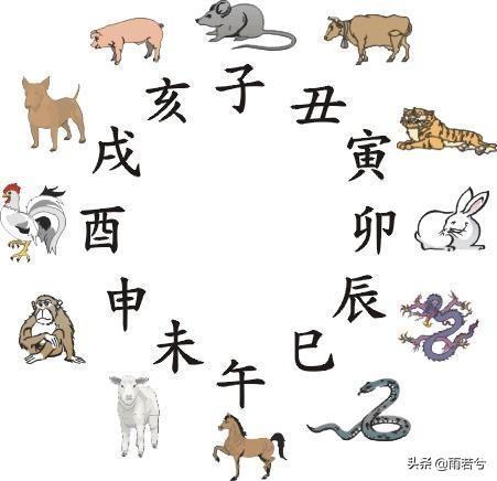 12生肖的传说故事外传（12种动物背后的文化象征和寓意）