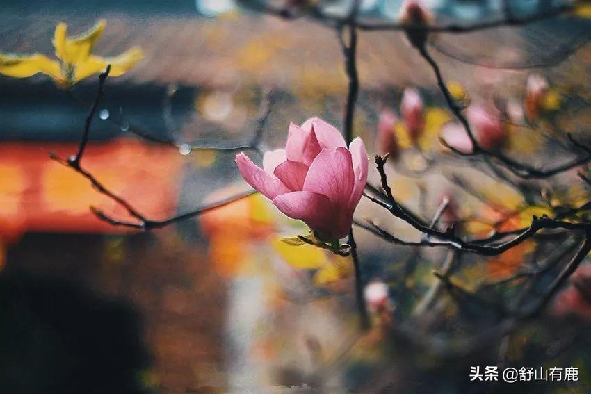 为什么说无事献殷勤非贱即盗(盘点事若反常必有妖的四种情况)