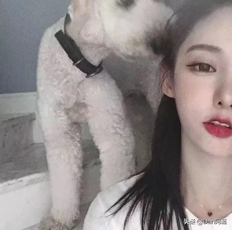 不相信爱情的句子(精选10句让前任看了会心疼的说说)