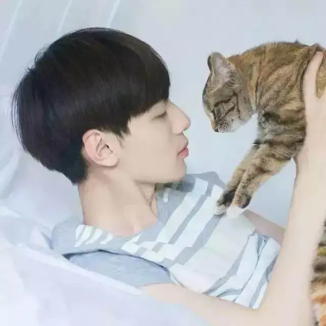 养猫的男生会很娘吗(真男人的表现 值得你托付终生)