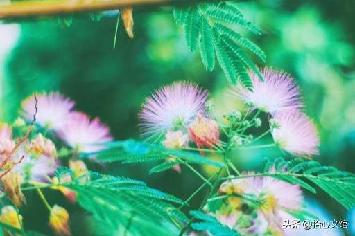 滴水之恩 当涌泉相报(受人恩惠 应没齿难忘)