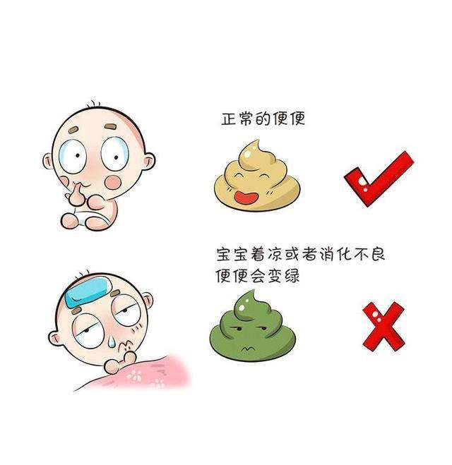 超全超详细宝宝各种大便解析(认识这11种便便判断宝宝健康很轻松)
