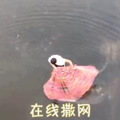 生日*要红包的套路（生日红包*怎么给创意）