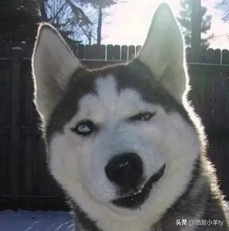 那些令人爆笑的小故事(让你开心一乐)