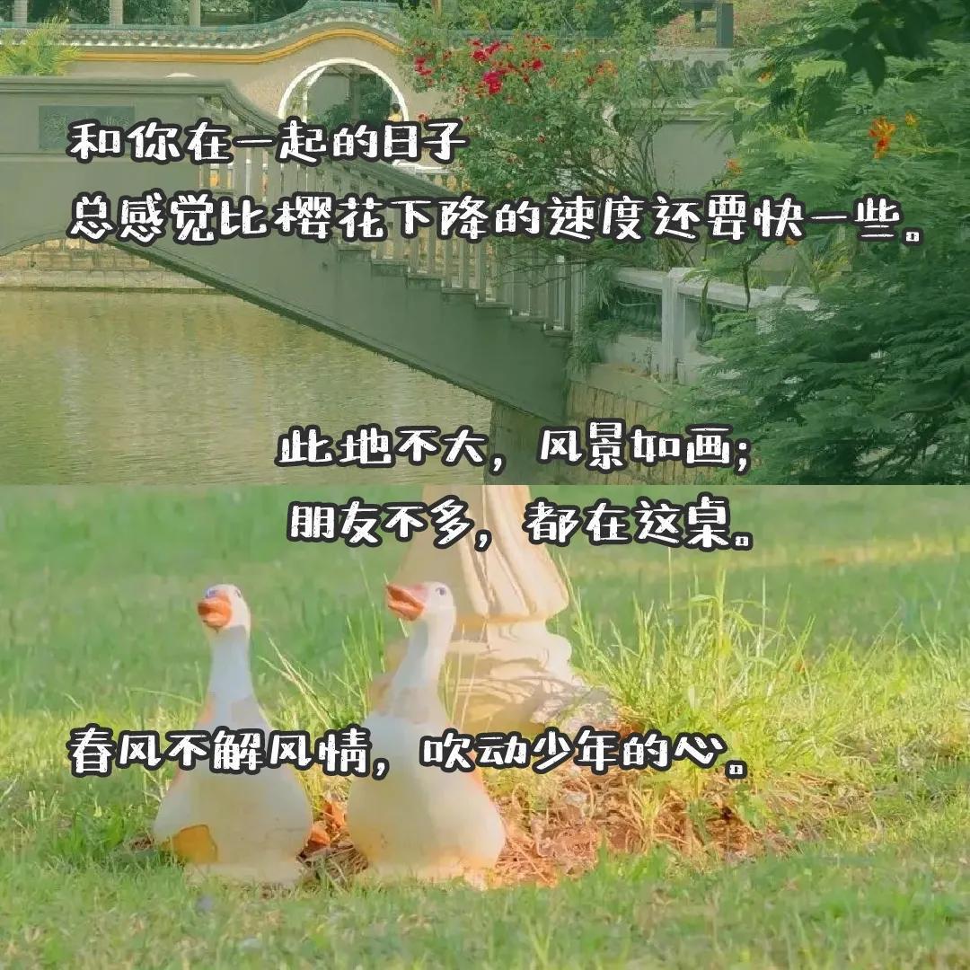 陪爸妈旅游幸福的句子(带爸妈旅行的唯美朋友圈)