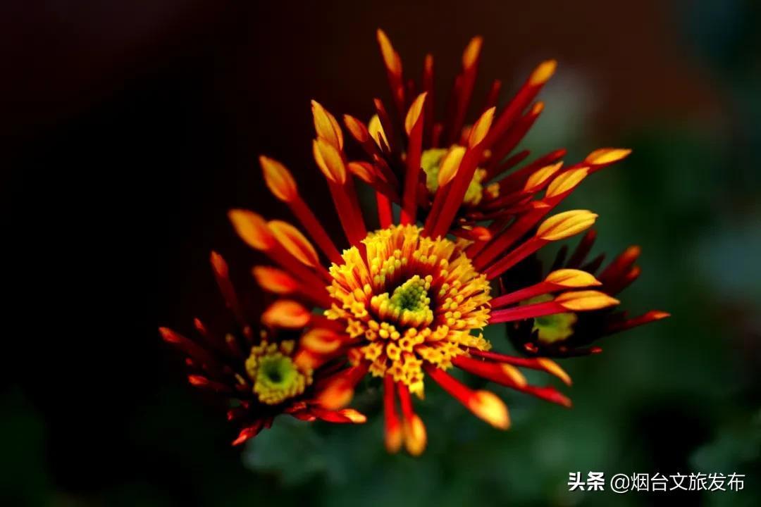 酱紫是什么意思（酱紫是什么意思?）