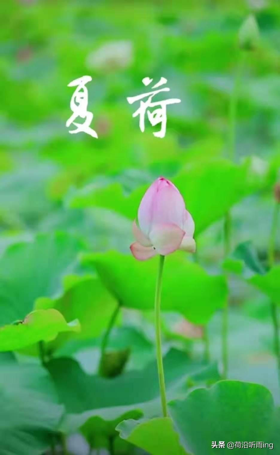 常说的责任感是什么(浅谈做人做事负责任的态度)