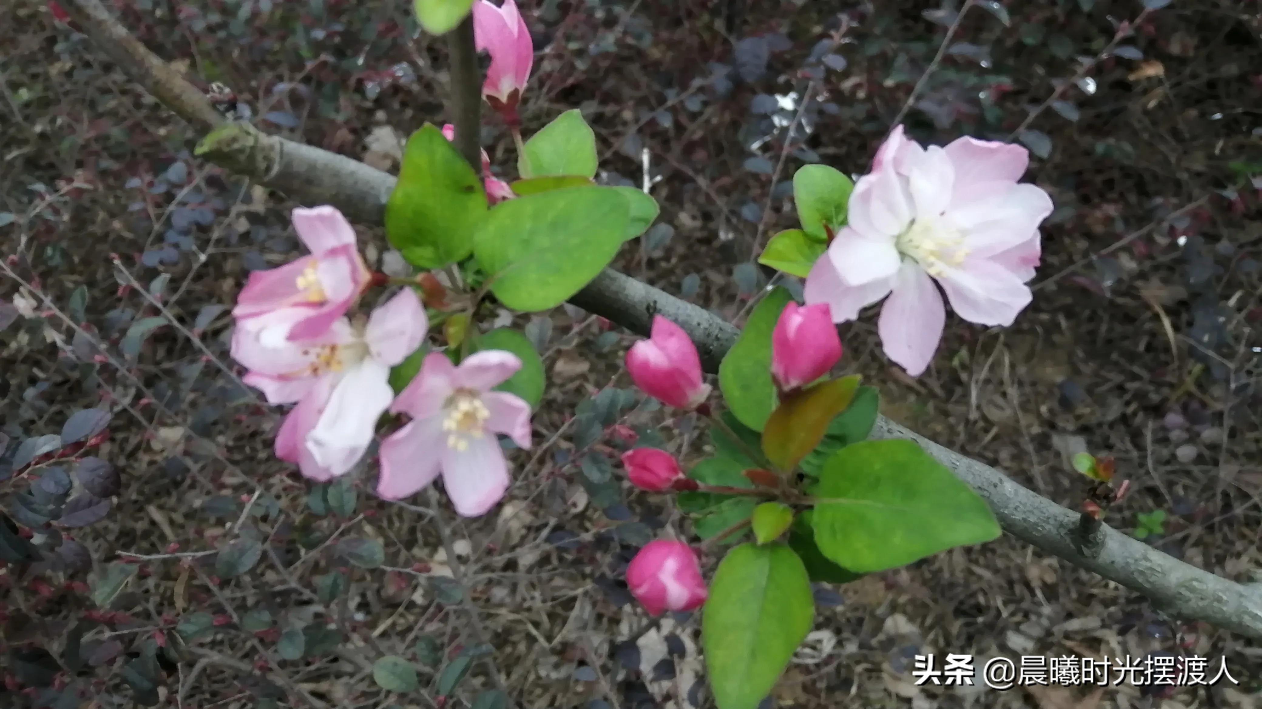灵魂有趣的女人句子（灵魂有趣的女人句子图片）