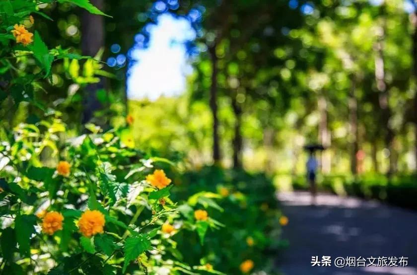酱紫是什么意思（酱紫是什么意思?）
