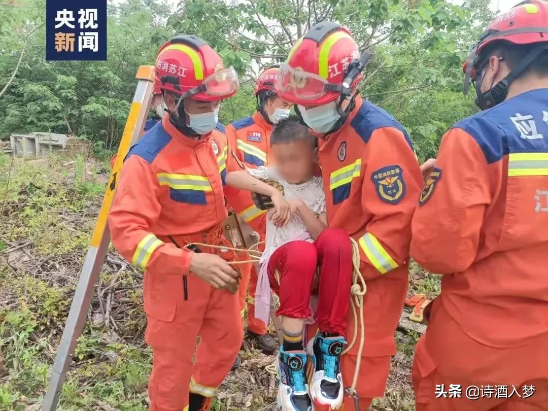 关于母亲的感情(浅谈人类最伟大的情感)