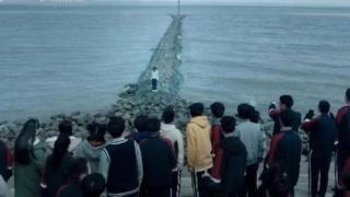 悲伤逆流成河10句扎心语录(仙人掌不是花没人捧在手心)